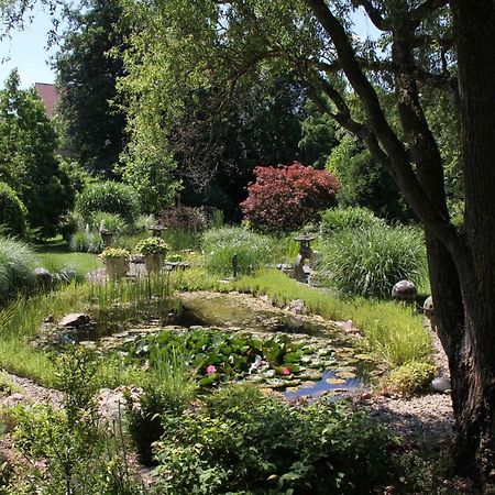 Fewo - Wohlfuehlambiente & Gartenparadies Modautal Bagian luar foto