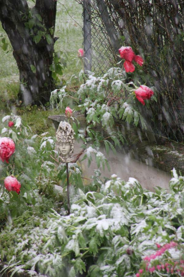 Fewo - Wohlfuehlambiente & Gartenparadies Modautal Bagian luar foto