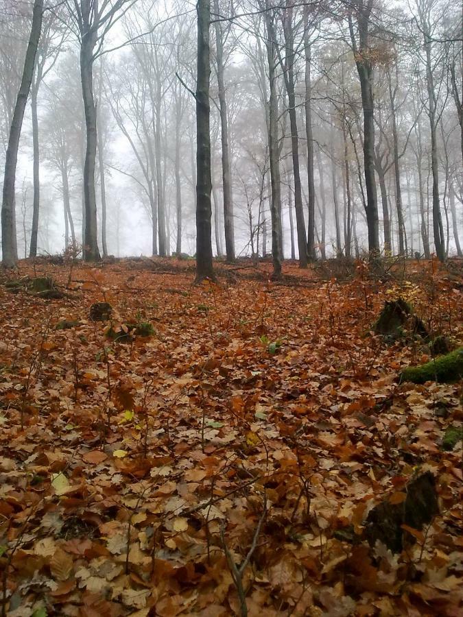 Fewo - Wohlfuehlambiente & Gartenparadies Modautal Bagian luar foto